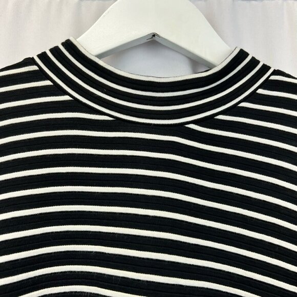 White House Black Market Womens Sheath Dress Stripe Crew Neck Sleeveless Zip S - Picture 3 of 10